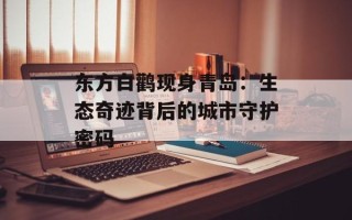 东方白鹳现身青岛：生态奇迹背后的城市守护密码