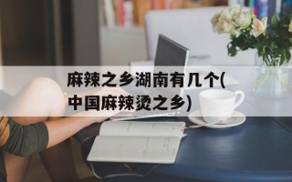 麻辣之乡湖南有几个(中国麻辣烫之乡)