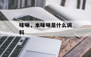 味啉，本味啉是什么调料