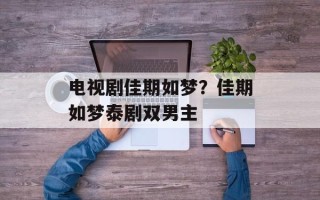 电视剧佳期如梦？佳期如梦泰剧双男主