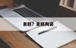 素胚？素胚陶瓷