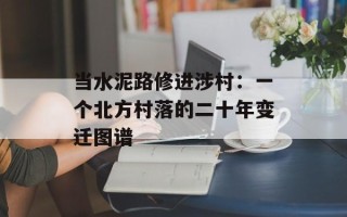 当水泥路修进涉村：一个北方村落的二十年变迁图谱