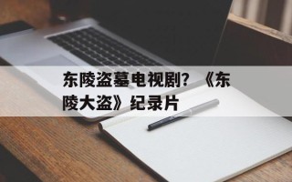 东陵盗墓电视剧？《东陵大盗》纪录片