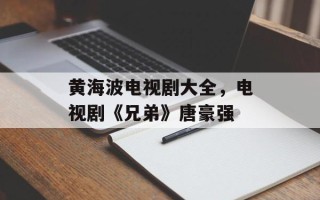 黄海波电视剧大全，电视剧《兄弟》唐豪强