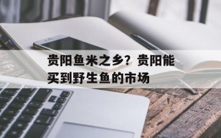 贵阳鱼米之乡？贵阳能买到野生鱼的市场