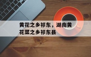 黄花之乡祁东，湖南黄花菜之乡祁东县