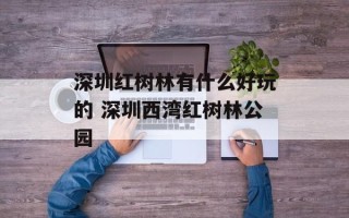 深圳红树林有什么好玩的 深圳西湾红树林公园