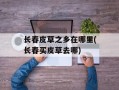 长春皮草之乡在哪里(长春买皮草去哪)