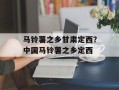 马铃薯之乡甘肃定西？中国马铃薯之乡定西