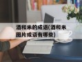酒和米的成语(酒和米图片成语有哪些)