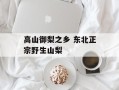 高山御梨之乡 东北正宗野生山梨