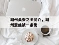 湖州桑蚕之乡简介，湖州蚕丝被一条街