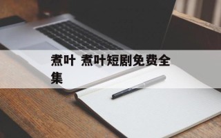 煮叶 煮叶短剧免费全集