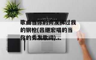 歌曲当你的秀发拂过我的钢枪(吕继宏唱的当你的秀发歌词)