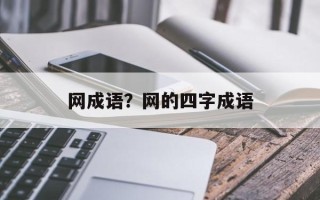 网成语？网的四字成语