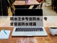 防水之乡专业防水，专业屋面防水堵漏