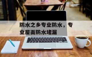 防水之乡专业防水，专业屋面防水堵漏