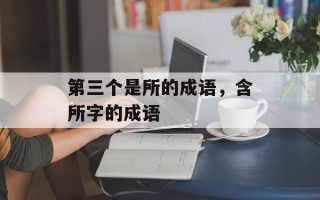 第三个是所的成语，含所字的成语