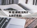 风 日 成语(狂风什么四字成语)