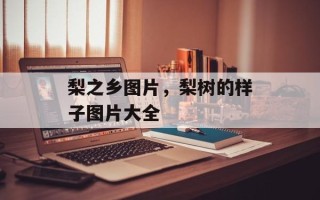 梨之乡图片，梨树的样子图片大全