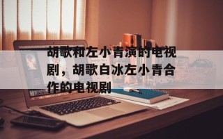 胡歌和左小青演的电视剧，胡歌白冰左小青合作的电视剧