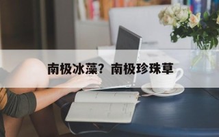 南极冰藻？南极珍珠草