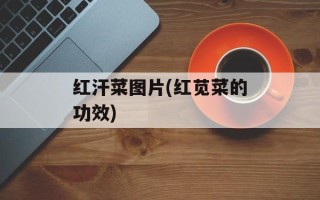 红汗菜图片(红苋菜的功效)
