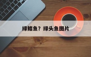 绿鳍鱼？绿头鱼图片