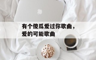 有个傻瓜爱过你歌曲，爱的可能歌曲
