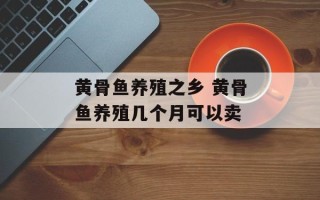 黄骨鱼养殖之乡 黄骨鱼养殖几个月可以卖