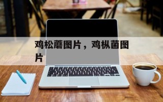 鸡松蘑图片，鸡枞菌图片