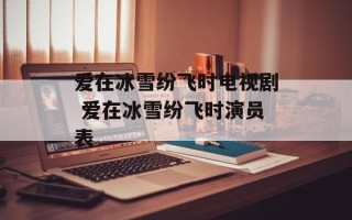 爱在冰雪纷飞时电视剧 爱在冰雪纷飞时演员表