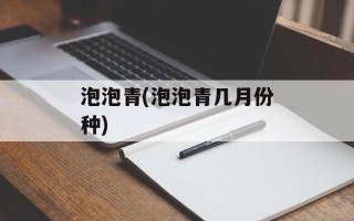 泡泡青(泡泡青几月份种)