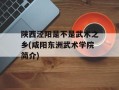 陕西泾阳是不是武术之乡(咸阳东洲武术学院简介)