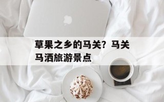 草果之乡的马关？马关马洒旅游景点