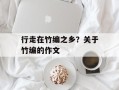 行走在竹编之乡？关于竹编的作文