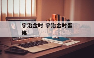 宇治金时 宇治金时蛋糕