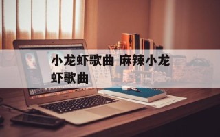 小龙虾歌曲 麻辣小龙虾歌曲