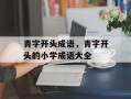 青字开头成语，青字开头的小学成语大全