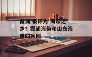 霞浦 被评为 海带之乡？霞浦海带和山东海带的区别