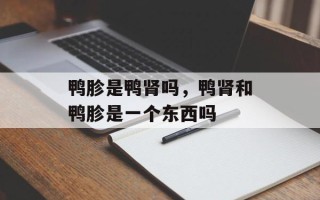鸭胗是鸭肾吗，鸭肾和鸭胗是一个东西吗