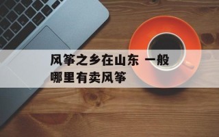 风筝之乡在山东 一般哪里有卖风筝