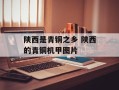 陕西是青铜之乡 陕西的青铜机甲图片