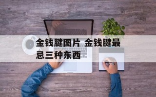金钱腱图片 金钱腱最忌三种东西