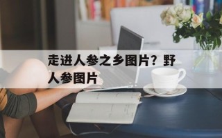 走进人参之乡图片？野人参图片