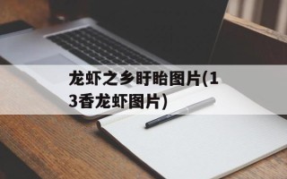 龙虾之乡盱眙图片(13香龙虾图片)