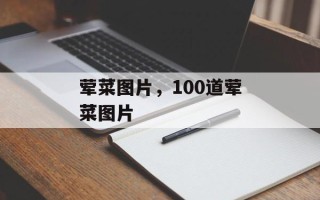 荤菜图片，100道荤菜图片