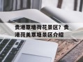 贵港覃塘荷花景区？贵港荷美覃塘景区介绍