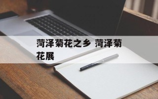 菏泽菊花之乡 菏泽菊花展