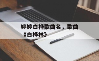 婷婷白桦歌曲名，歌曲《白桦林》
